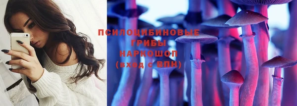 скорость Гусев