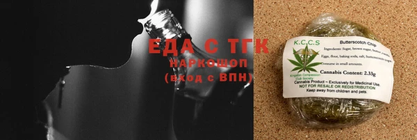 гашик Ельня