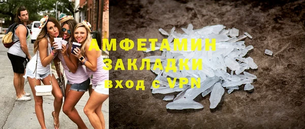 гашик Ельня