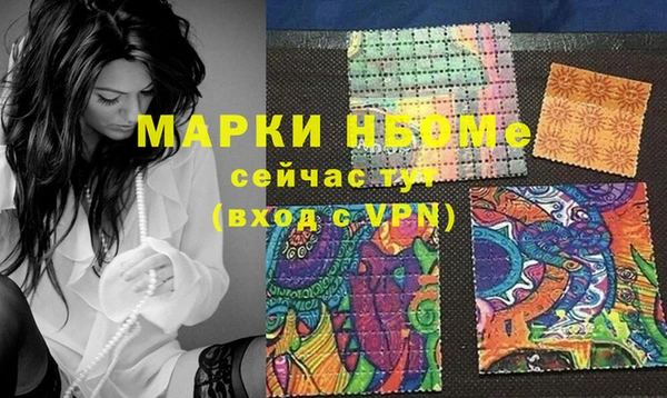 гашик Ельня
