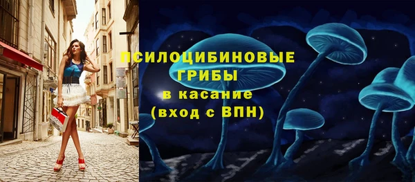 гашик Ельня