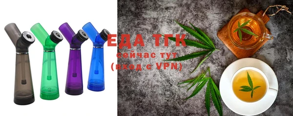 гашик Ельня