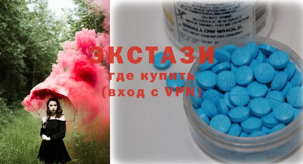 гашик Ельня